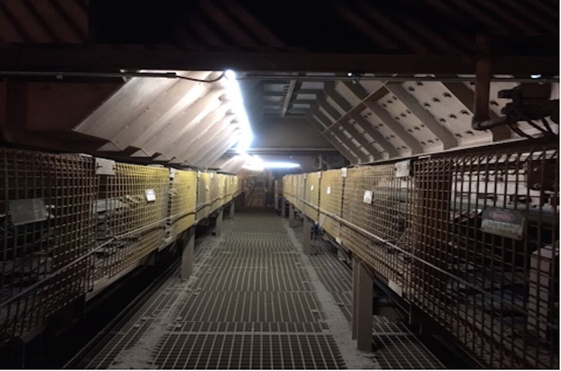 Crusher area LED work lights for Mining