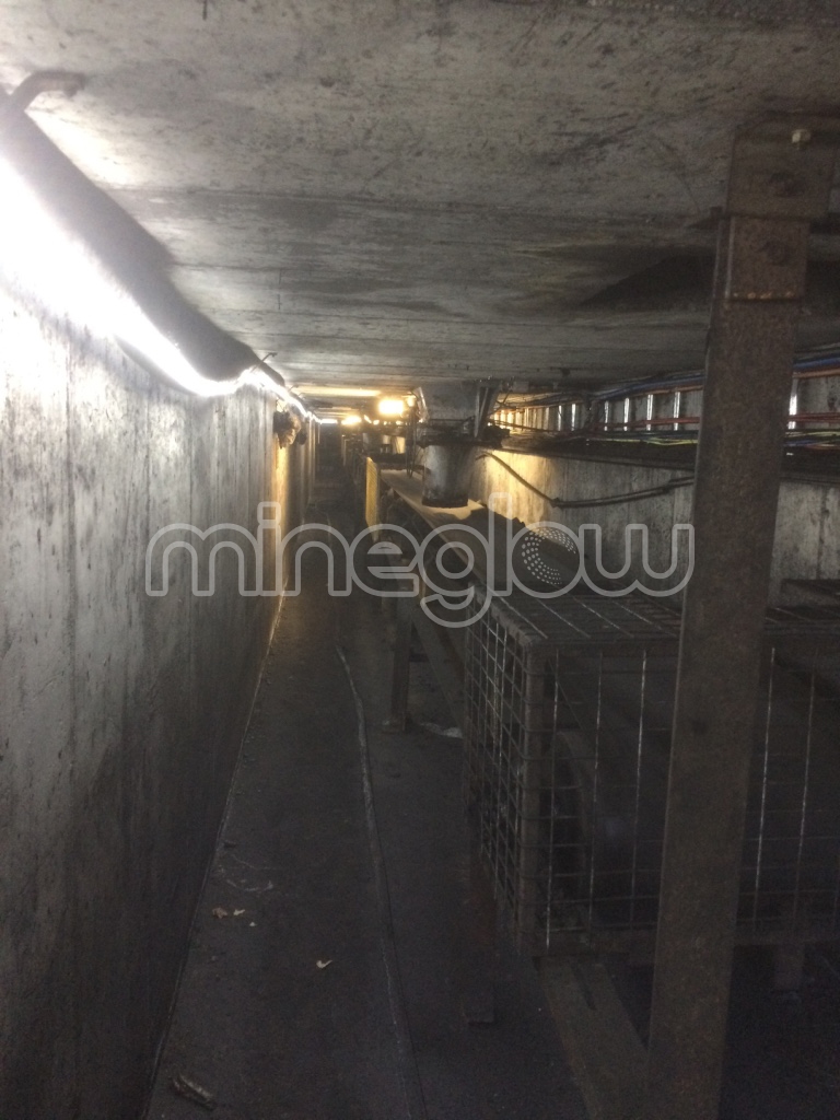 Mineglow LED strip lighting installed near underground mining conveyor