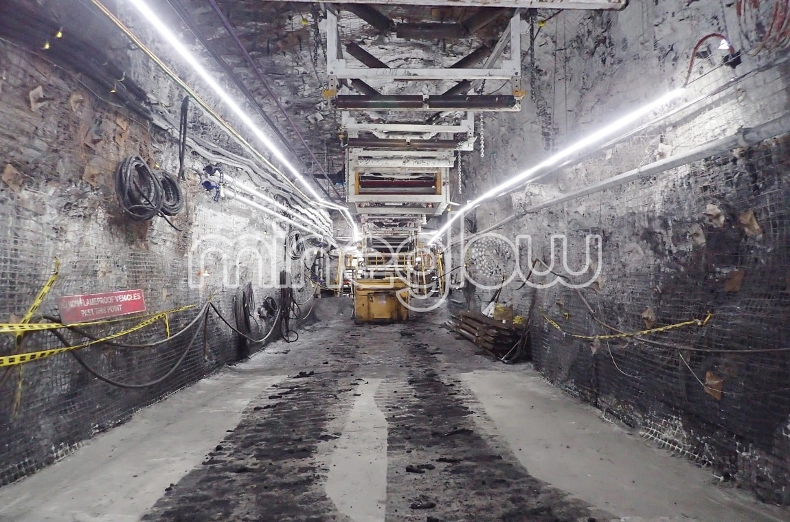 Mineglow LED Lighting for conveyors