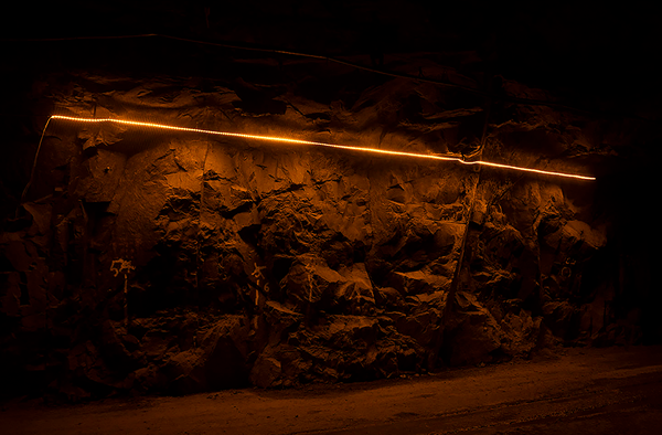 x-glo catalogue images