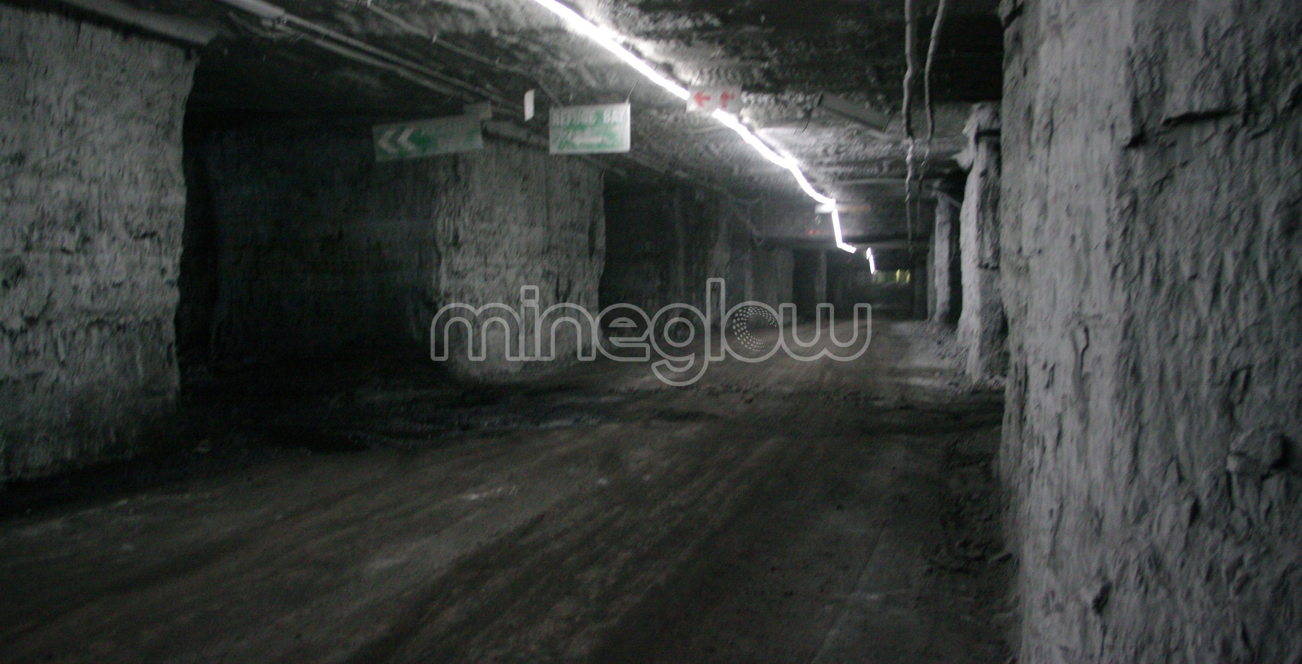 Hazardous Area Lighting | Explosion-Proof LED Lights | Mineglow