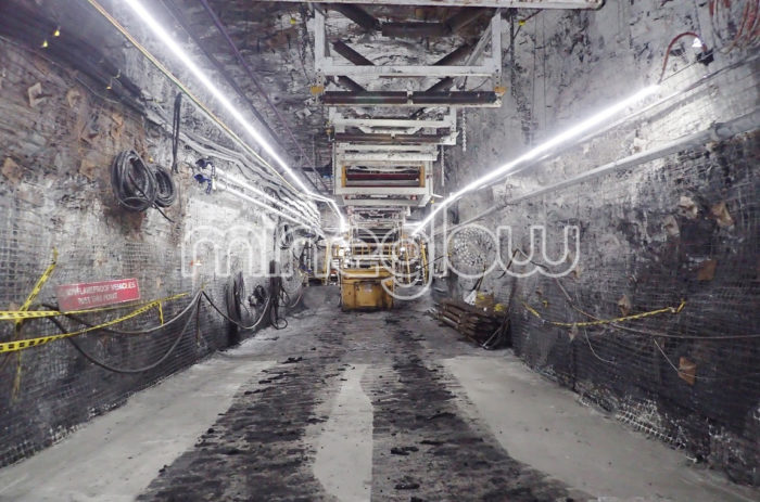 x-Glo 60-36v LED Strip Lighting to illuminate the mining conveyor area