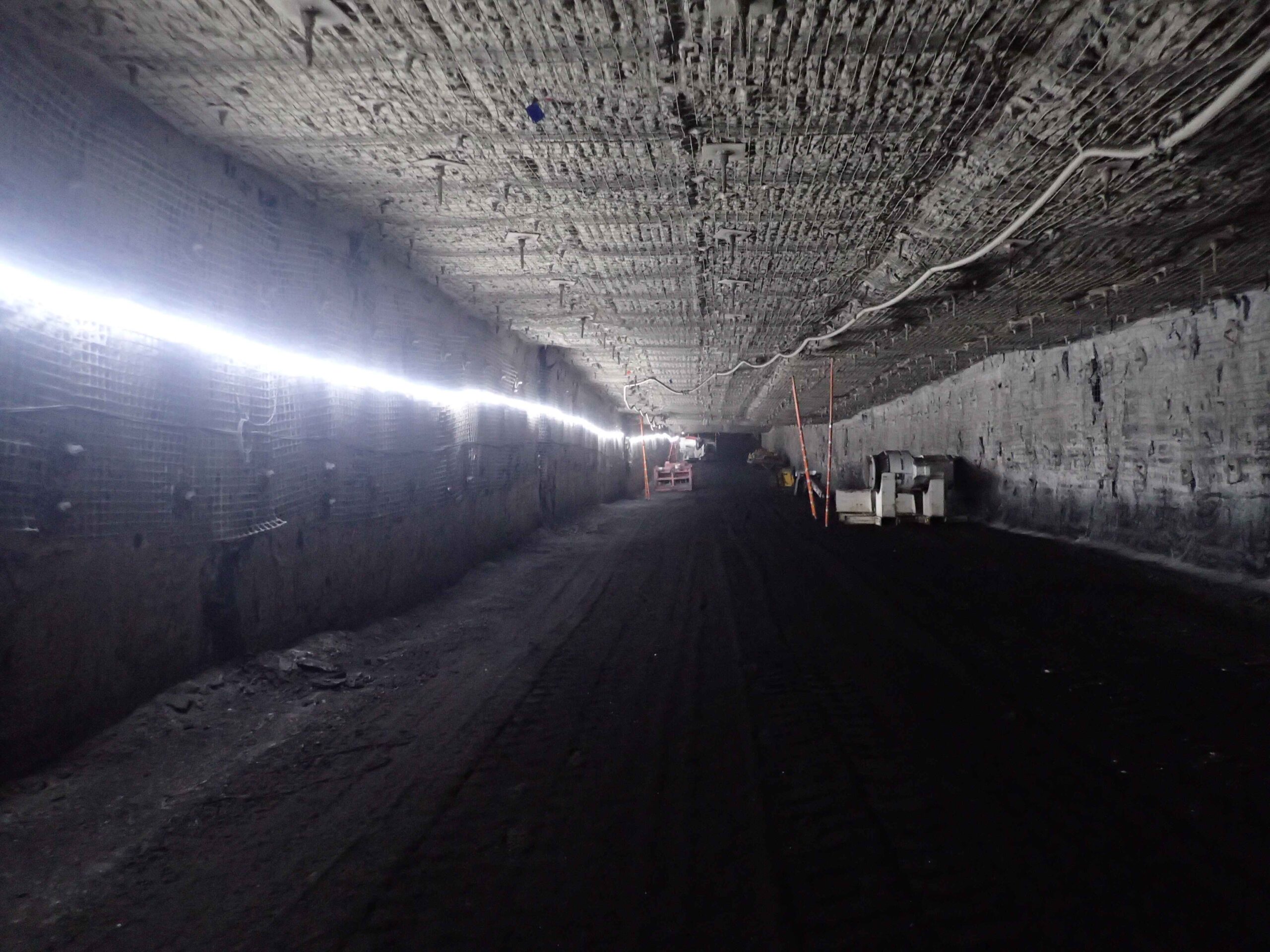 x-Glo 24 LR 350 lumens